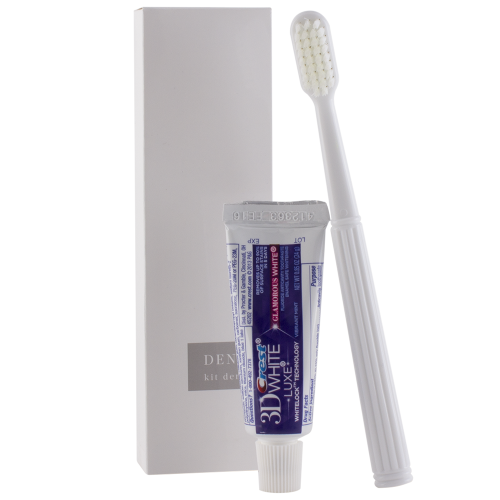 Ascot Dental Kit
